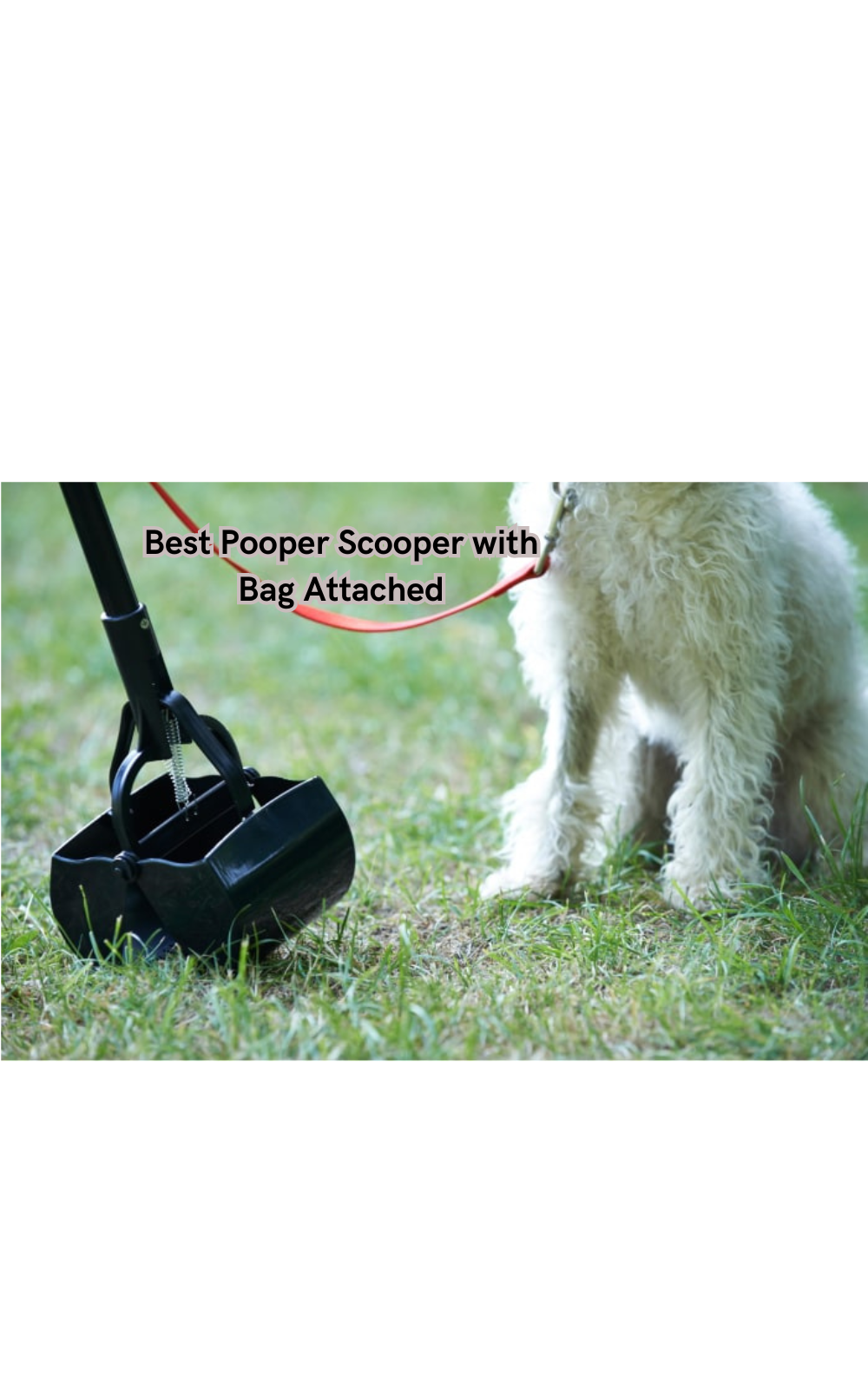 The Best Pooper Scooper with Bag Attached