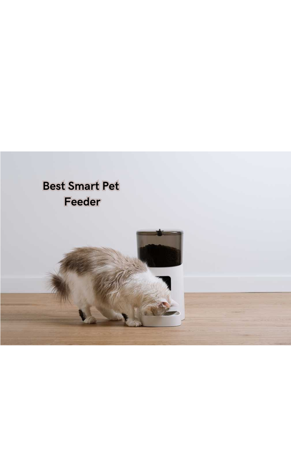 Discover the Future of Feeding Furry Friends: The Best Smart Pet Feeder